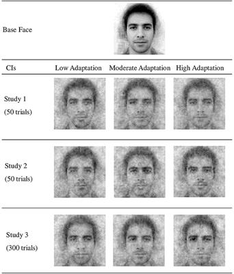 The Neglected C of Intercultural Relations. Cross-Cultural Adaptation Shapes Sojourner Representations of Locals